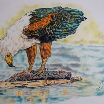 Dessin intitulée "fish eagle" par Hiten Mistry, Œuvre d'art originale, Crayon