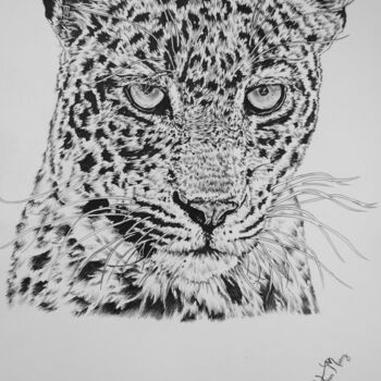 Dibujo titulada "leopard art" por Hiten Mistry, Obra de arte original, Grafito