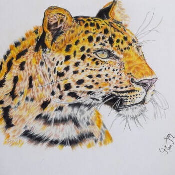 Drawing titled "leopard drawing" by Hiten Mistry, Original Artwork, Other