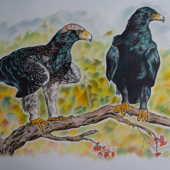 Desenho intitulada "Black eagles" por Hiten Mistry, Obras de arte originais, Outro