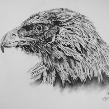 Рисунок под названием "Golden eagle drawing" - Hiten Mistry, Подлинное произведение искусства, Графит