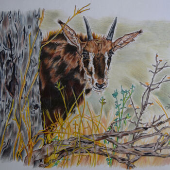 Drawing titled "sable calf peers" by Hiten Mistry, Original Artwork, Other