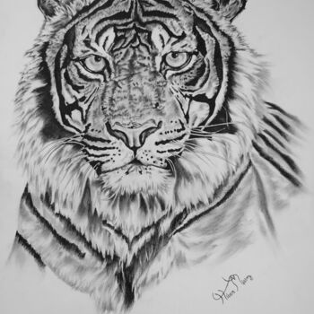 Dibujo titulada "tiger portrait" por Hiten Mistry, Obra de arte original, Grafito