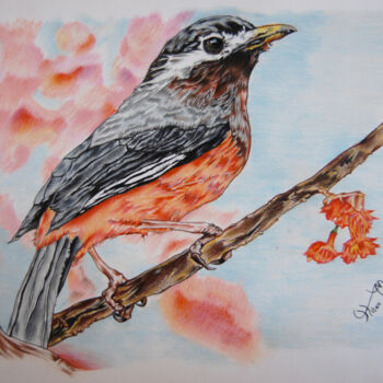 Dibujo titulada "pretty bird" por Hiten Mistry, Obra de arte original, Otro