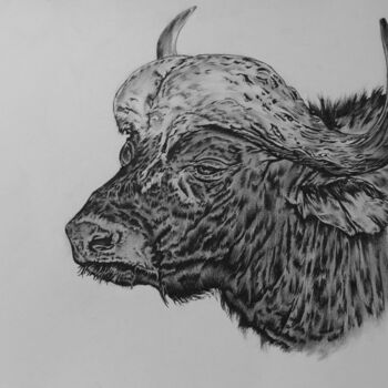 Рисунок под названием "buffalo portrait" - Hiten Mistry, Подлинное произведение искусства, Графит