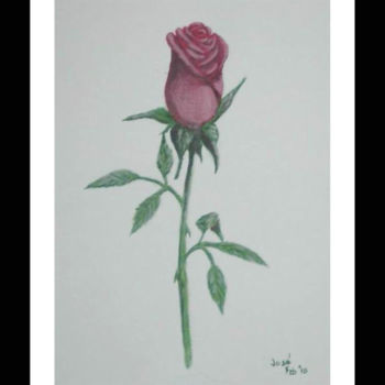 Painting titled "Solitary Rose" by Jose', Original Artwork, Oil