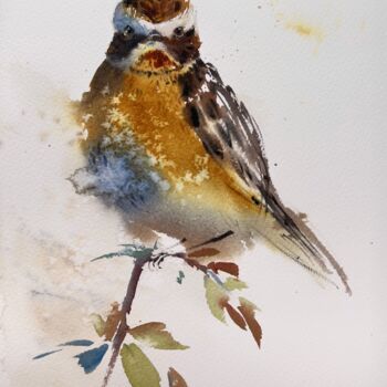 Painting titled "Meadow bird" by Eugenia Gorbacheva, Original Artwork, Watercolor