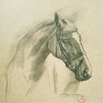 Dessin intitulée "Horse #22730" par Hongtao Huang, Œuvre d'art originale, Crayon