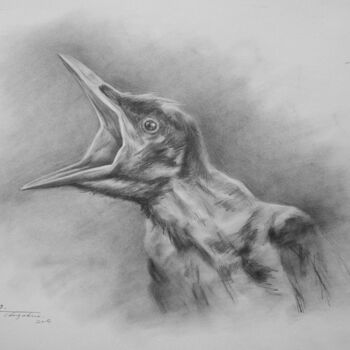Desenho intitulada "DRAWING ANMAL BIRD…" por Hongtao Huang, Obras de arte originais, Carvão