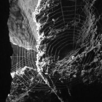 Photographie intitulée "toile d'araignée" par Régis Legros, Œuvre d'art originale