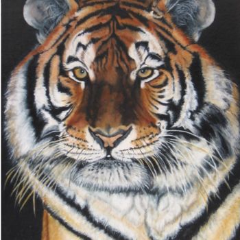 Painting titled "Tigre de Sibérie" by Anne-Marie Thys, Original Artwork, Oil