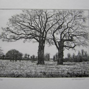 Printmaking titled "Les jumeaux" by Henry-Pierre Troussicot, Original Artwork, Etching