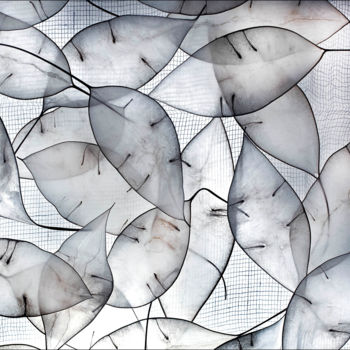 Photographie intitulée "Leaves" par Hrnjak Maja, Œuvre d'art originale, Photographie numérique