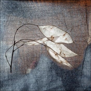Photographie intitulée "Leaves 2" par Hrnjak Maja, Œuvre d'art originale, Photographie numérique