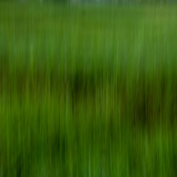 Photographie intitulée "Knee Deep Grass" par Travis Burgess, Œuvre d'art originale, Photographie numérique