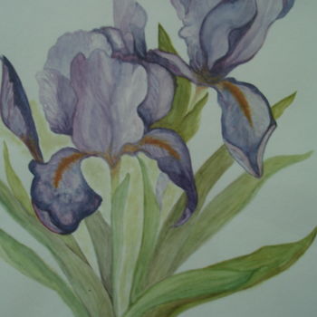 Painting titled "IRIS Bleu violet" by Catherine Huard, Original Artwork, Watercolor