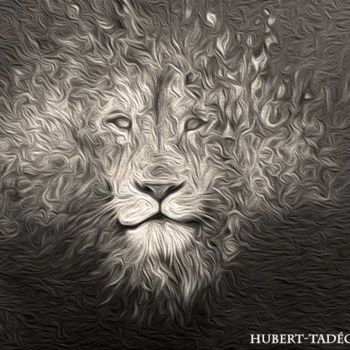 Digital Arts titled "lion.jpg" by Hubert-Tadéo Félizé, Original Artwork, Digital Painting