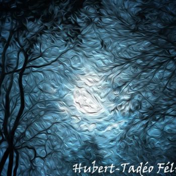 Digital Arts titled "lune-froide" by Hubert-Tadéo Félizé, Original Artwork, Digital Painting