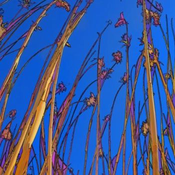 Fotografia intitulada "Reeds" por Hugh Smith, Obras de arte originais