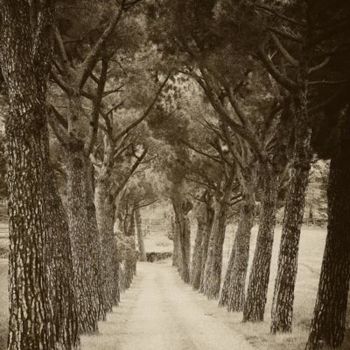 Fotografía titulada "Country lane in Tus…" por Hugh Smith, Obra de arte original