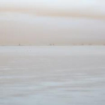 Photographie intitulée "Ducks on the Salton…" par Hugh Smith, Œuvre d'art originale