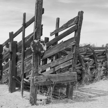 Photography titled "Cattle chute Arizona" by Hugh Smith, Original Artwork
