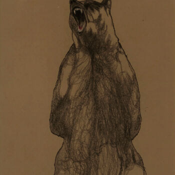 Disegno intitolato "Grizzly" da Hugo Bartoli, Opera d'arte originale, Carbone