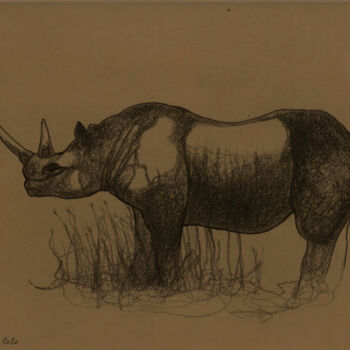 Disegno intitolato "Rhinocéros" da Hugo Bartoli, Opera d'arte originale, Carbone