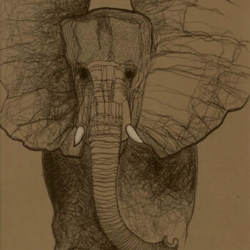 Zeichnungen mit dem Titel "Elephant" von Hugo Bartoli, Original-Kunstwerk, Kohle