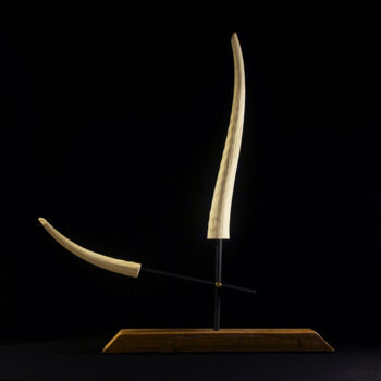 "Equilibre N°4" başlıklı Heykel Hugo Brissaud tarafından, Orijinal sanat, Kemik