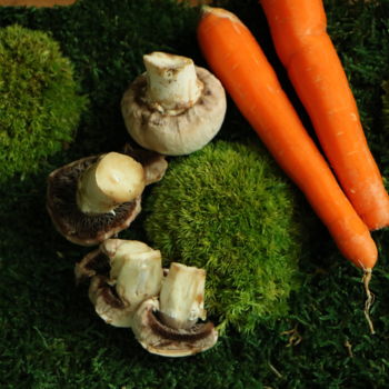 Fotografie getiteld "mushroom work" door Humeyragonen, Origineel Kunstwerk