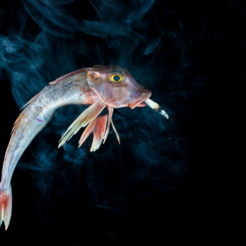 Fotografia zatytułowany „smokedfish.jpg” autorstwa Ian Pennington, Oryginalna praca