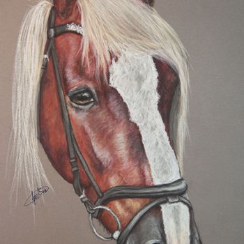 Картина под названием "Silver bay horse" - Apelsin, Подлинное произведение искусства, Пастель
