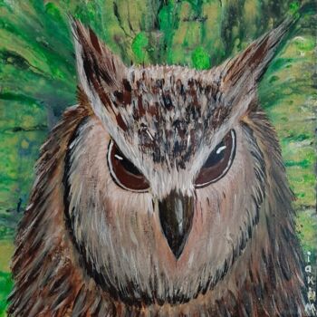 Drawing titled "Regard de hibou" by Iakim, Original Artwork, Acrylic Mounted on Wood Stretcher frame