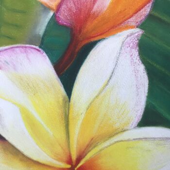 Dessin intitulée "Tropical Flower" par Iana Volga, Œuvre d'art originale, Pastel