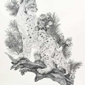 Dibujo titulada "SIBERIAN BEAUTY. LY…" por Iana Cherepanska, Obra de arte original, Tinta