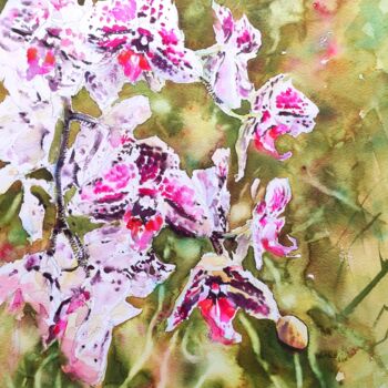 Painting titled "Orchids Cascade" by Ibolya Taligas, Original Artwork, Watercolor