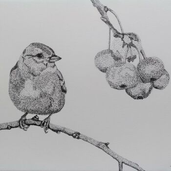 Drawing titled "Bird and wild fruit" by Ibrahim Unal, Original Artwork, Pencil