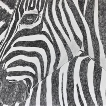 Drawing titled "Zebra 1" by Ibrahim Unal, Original Artwork, Graphite