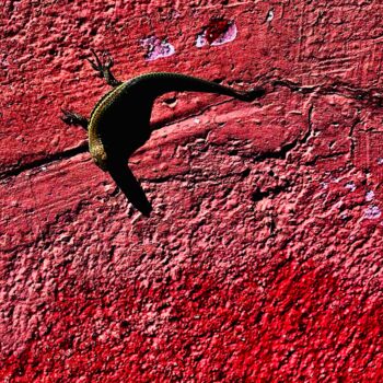Fotografía titulada "Lézard sur mur rouge" por Ida Arundo, Obra de arte original, Fotografía no manipulada