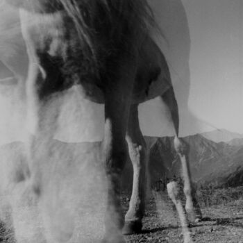Photography titled "Cheval aux alpages" by Ida Arundo, Original Artwork, Analog photography