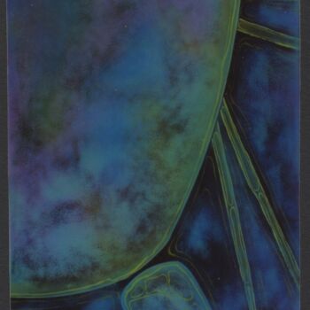 Peinture intitulée "daphnies-60x80-600e…" par Idris Fad, Œuvre d'art originale, Autre