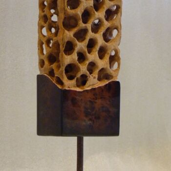 Escultura intitulada "laterculus rubigo" por Idris Fad, Obras de arte originais, Madeira