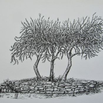 Dessin intitulée "Les trois oliviers…" par Isabelle Stagg, Œuvre d'art originale, Encre