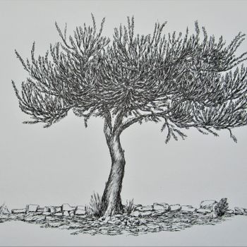 Dessin intitulée "L'olivier au pied d…" par Isabelle Stagg, Œuvre d'art originale, Encre