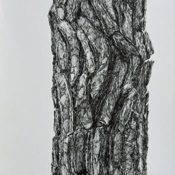 Dessin intitulée "ecorce-de-pin.jpg" par Isabelle Stagg, Œuvre d'art originale, Encre