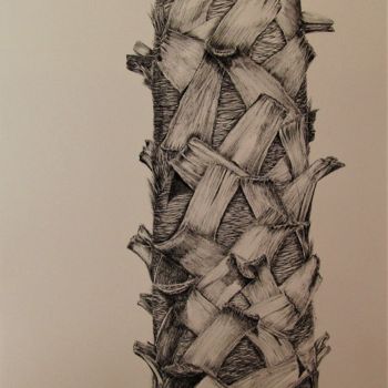 Disegno intitolato "tronc-de-palmier.jpg" da Isabelle Stagg, Opera d'arte originale, Inchiostro