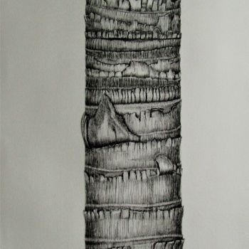 Dibujo titulada "Tronc du palmier de…" por Isabelle Stagg, Obra de arte original, Tinta