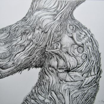 Drawing titled "Cep III" by Isabelle Stagg, Original Artwork, Ink