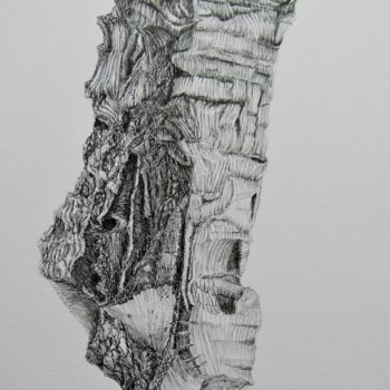 Tekening getiteld "Derive de Quercus S…" door Isabelle Stagg, Origineel Kunstwerk, Inkt